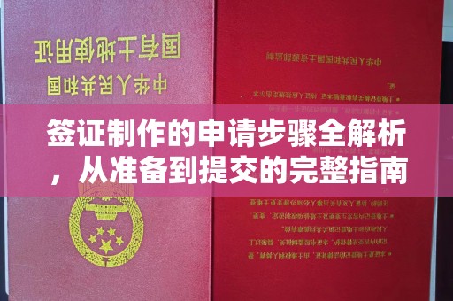 响水签证制作的申请步骤全解析，从准备到提交的完整指南