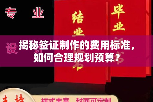 响水揭秘签证制作的费用标准，如何合理规划预算？